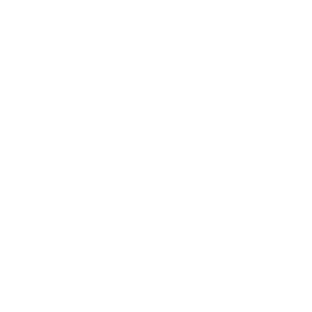 Cicloviva Logo